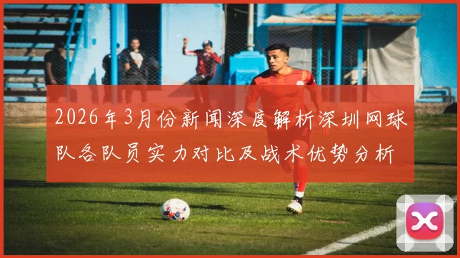 2026年3月份新闻深度解析深圳网球队各队员实力对比及战术优势分析